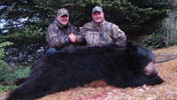 Dan Wallace - Newfoundland Black Bear