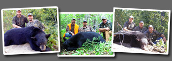 Bear Hunting at Dog Lake Resort