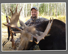 Karl's Alberta Moose